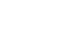 Denali Custom Homes logo