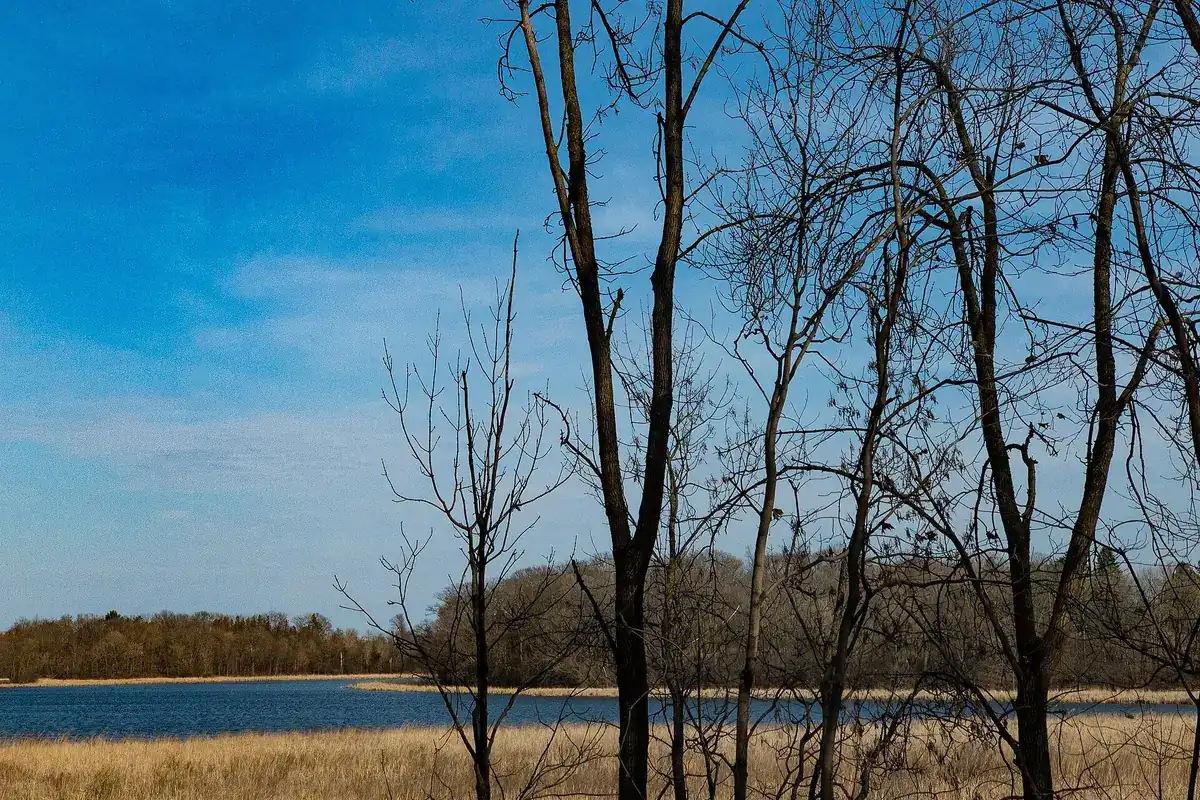 Photograph of Lake Classen