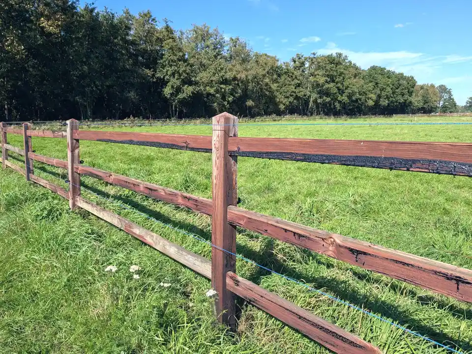 Open pasture behind a split-rail fence, edged with trees