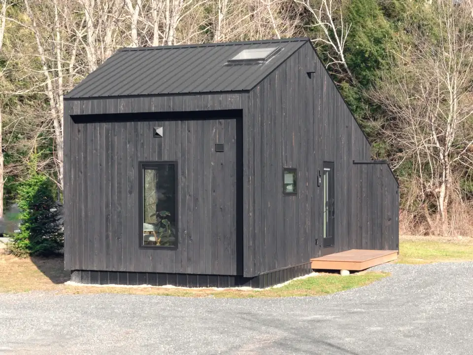 A modern black tiny house among birches