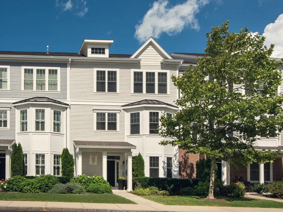 A row of new three-storey townhomes behind a young tree